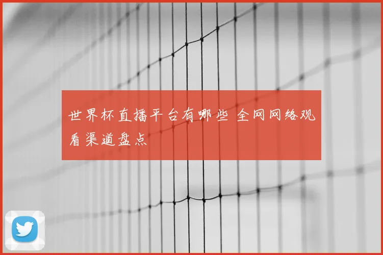 世界杯直播平台有哪些 全网网络观看渠道盘点